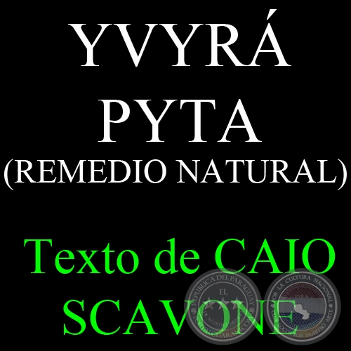 YVYRÁ PYTA (REMEDIO NATURAL) - Texto de CAIO SCAVONE