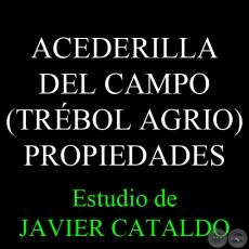 ACEDERILLA DEL CAMPO (TRÉBOL AGRIO) - PROPIEDADES - Estudio de JAVIER CATALDO