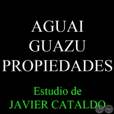 AGUAI GUAZU - PROPIEDADES - Estudio de JAVIER CATALDO