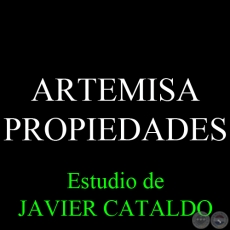 ARTEMISA (YERBA DE SAN JUAN) - PROPIEDADES - Estudio de JAVIER CATALDO