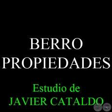 BERRO - PROPIEDADES - Estudio de JAVIER CATALDO