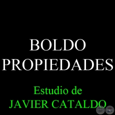 BOLDO - PROPIEDADES - Estudio de JAVIER CATALDO