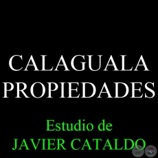 CALAGUALA - PROPIEDADES - Estudio de JAVIER CATALDO