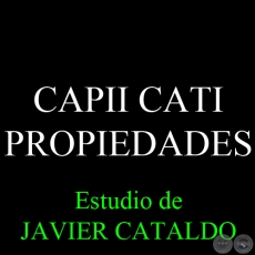 CAPII CATI - PROPIEDADES - Estudio de JAVIER CATALDO
