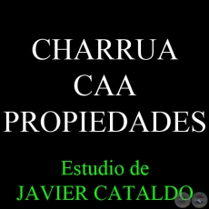 CHARRUA CAA - PROPIEDADES - Estudio de JAVIER CATALDO