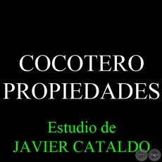 COCOTERO - PROPIEDADES - Estudio de JAVIER CATALDO