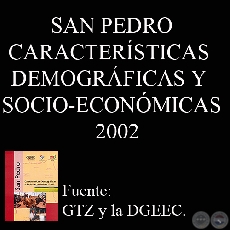 SAN PEDRO - CARACTERSTICAS DEMOGRFICAS Y SOCIO-ECONMICAS - 2002