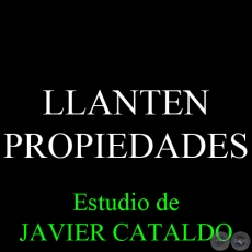 LLANTEN - PROPIEDADES - Estudio de JAVIER CATALDO