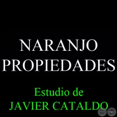 NARANJO - PROPIEDADES - Estudio de JAVIER CATALDO