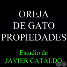 OREJA DE GATO - PROPIEDADES - Estudio de JAVIER CATALDO