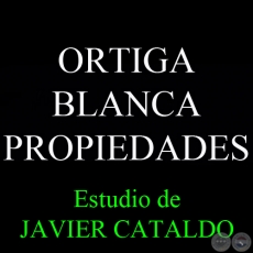 ORTIGA BLANCA - PROPIEDADES - Estudio de JAVIER CATALDO