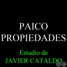 PAICO - PROPIEDADES - Estudio de JAVIER CATALDO