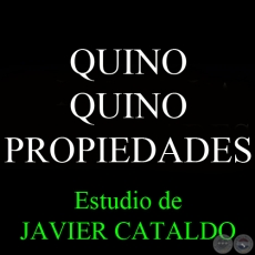 QUINO QUINO - PROPIEDADES - Estudio de JAVIER CATALDO