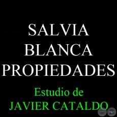 SALVIA BLANCA - PROPIEDADES - Estudio de JAVIER CATALDO