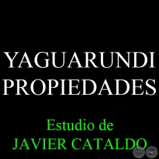 YAGUARUNDI - PROPIEDADES - Estudio de JAVIER CATALDO