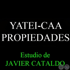 YATEI-CAA - PROPIEDADES - Estudio de JAVIER CATALDO