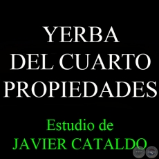 YERBA DEL CUADRO - PROPIEDADES - Estudio de JAVIER CATALDO