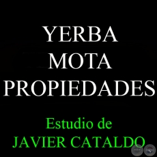 YERBA MOTA - PROPIEDADES - Estudio de JAVIER CATALDO