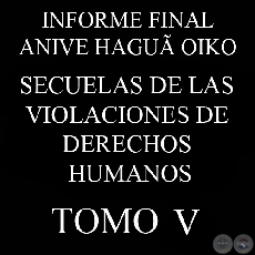SECUELAS DE LAS VIOLACIONES DE DERECHOS HUMANOS - INFORME FINAL - TOMO 5 - COMISIÓN DE VERDAD Y JUSTICIA, PARAGUAY