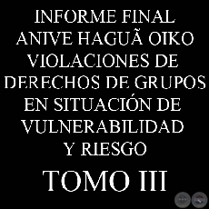 VIOLACIONES DE DERECHOS DE GRUPOS EN SITUACIÓN DE VULNERABILIDAD Y RIESGO - INFORME FINAL - TOMO 3 - COMISIÓN DE VERDAD Y JUSTICIA, PARAGUAY