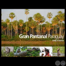 GRAN PANTANAL PARAGUAY - Texto y fotografías de EMILY Y. HORTON