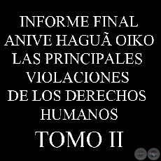 LAS PRINCIPALES VIOLACIONES DE LOS DERECHOS HUMANOS - INFORME FINAL - TOMO 2 - COMISIÓN DE VERDAD Y JUSTICIA, PARAGUAY