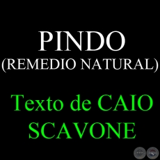 PINDO  ( REMEDIO NATURAL) - Texto de CAIO SCAVONE