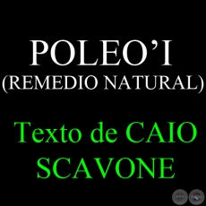 POLEO’I (REMEDIO NATURAL) - Texto de CAIO SCAVONE