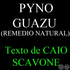 PYNO GUAZU (REMEDIO NATURAL) - Texto de CAIO SCAVONE