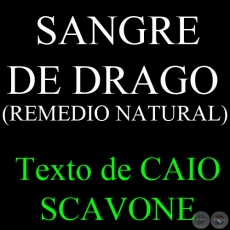 SANGRE DE DRAGO (REMEDIO NATURAL) - Texto de CAIO SCAVONE