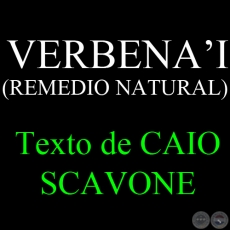 VERBENA’I (REMEDIO NATURAL) - Texto de CAIO SCAVONE