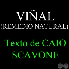 VIÑAL (REMEDIO NATURAL) - Texto de CAIO SCAVONE