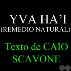 YVA HA’I (REMEDIO NATURAL) - Texto de CAIO SCAVONE