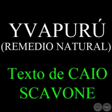 YVAPURÚ (REMEDIO NATURAL) - Texto de CAIO SCAVONE