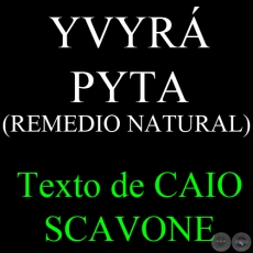 YVYRÁ PYTA (REMEDIO NATURAL) - Texto de CAIO SCAVONE