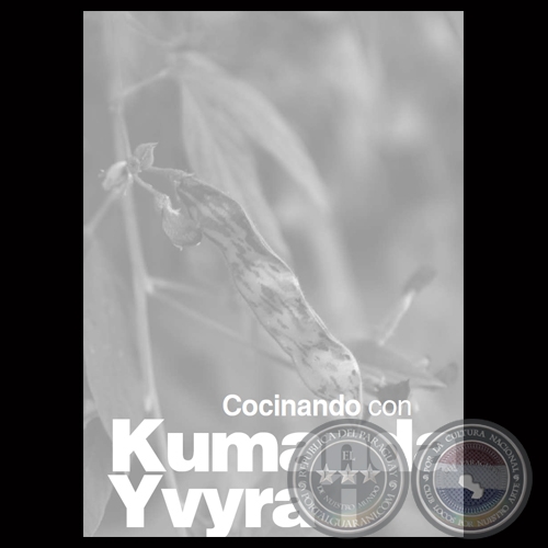 cocinando kumanda yvyrai ministerio agricultura y ganaderia paraguay gtz 2 portalguarani