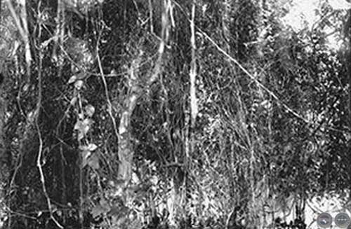 "IMÁGENES Y POSTALES DE PARAGUAY"