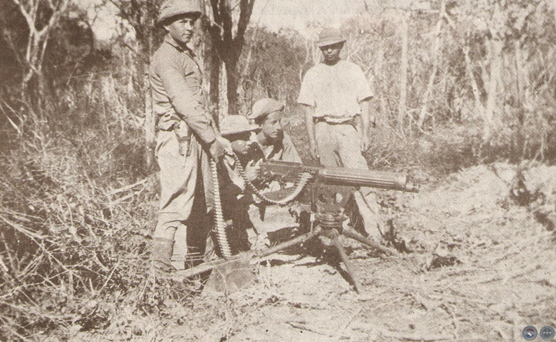 "BIBLIOTECA VIRTUAL DE LA GUERRA DEL CHACO - PORTALGUARANI.COM"