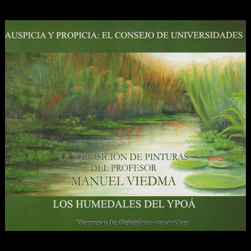 manuel viedma los humedales del ypoa exposicion portalguarani